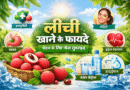 लीची खाने के फायदे, litchi khane ke fayde, lychee benefits in hindi, लीची के लाभ, लीची के पोषक तत्व, लीची से इम्यूनिटी, लीची और त्वचा, लीची और पाचन, summer fruits benefits, healthy fruits in summer