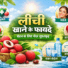 लीची खाने के फायदे, litchi khane ke fayde, lychee benefits in hindi, लीची के लाभ, लीची के पोषक तत्व, लीची से इम्यूनिटी, लीची और त्वचा, लीची और पाचन, summer fruits benefits, healthy fruits in summer