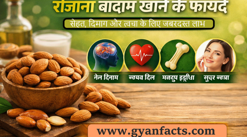 badam khane ke fayde, badam khane ke benefits, badam khane ke labh, badam khane se kya hota hai, badam ke fayde, almond benefits in hindi, badam khane ka sahi time, soaked almonds benefits, badam health benefits, badam khane ke fayde hindi