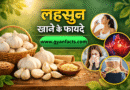 lahsun khane ke fayde, garlic benefits hindi, garlic health benefits, garlic benefits for heart, garlic benefits for immunity, garlic benefits for men, garlic benefits empty stomach, garlic medicinal benefits, garlic uses, health benefits of garlic