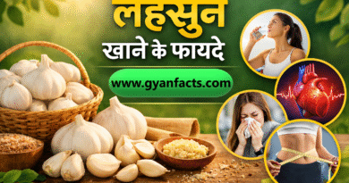 lahsun khane ke fayde, garlic benefits hindi, garlic health benefits, garlic benefits for heart, garlic benefits for immunity, garlic benefits for men, garlic benefits empty stomach, garlic medicinal benefits, garlic uses, health benefits of garlic