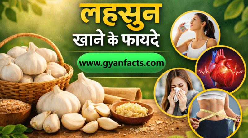 lahsun khane ke fayde, garlic benefits hindi, garlic health benefits, garlic benefits for heart, garlic benefits for immunity, garlic benefits for men, garlic benefits empty stomach, garlic medicinal benefits, garlic uses, health benefits of garlic