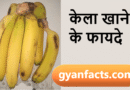 केला खाने के फायदे: रोज़ एक केला आपको रखेगा फिट और एनर्जेटिक kela khane ke fayde, banana benefits in hindi, kela khane ke labh, banana health benefits, kela kab khana chahiye, kela khane ke nuksan, banana for weight gain, banana for energy, kela for digestion, healthy fruits hindi