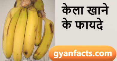 kela khane ke fayde, banana benefits in hindi, kela khane ke labh, banana health benefits, kela kab khana chahiye, kela khane ke nuksan, banana for weight gain, banana for energy, kela for digestion, healthy fruits hindi