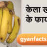 kela khane ke fayde, banana benefits in hindi, kela khane ke labh, banana health benefits, kela kab khana chahiye, kela khane ke nuksan, banana for weight gain, banana for energy, kela for digestion, healthy fruits hindi