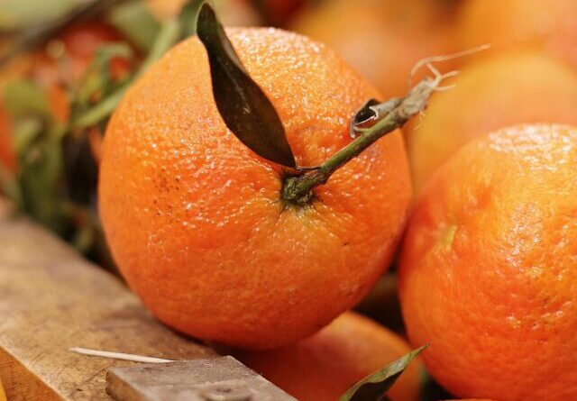 संतरे_खाने_के_फायदे #OrangeBenefits #VitaminC #HealthyLifestyle #ImmunityBooster #SkinCareNaturally #WeightLossTips #HeartHealth #NaturalRemedies #HealthyFruitsRemove term: heart health fruit heart health fruitRemove term: immunity badhane ke upay immunity badhane ke upayRemove term: orange benefits in hindi orange benefits in hindiRemove term: santara khane ka sahi samay santara khane ka sahi samayRemove term: santre ka juice ke fayde santre ka juice ke faydeRemove term: skin ke liye santara skin ke liye santaraRemove term: vitamin c ke fayde vitamin c ke faydeRemove term: weight loss fruit weight loss fruitRemove term: संतरा खाने के लाभ संतरा खाने के लाभRemove term: संतरे खाने के फायदे संतरे खाने के फायदे