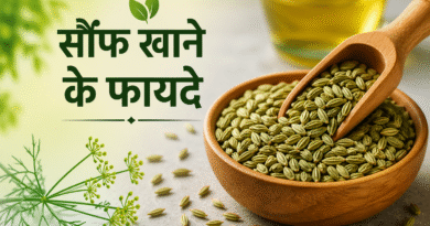 सौंफ खाने के 10 जबरदस्त फायदे | पाचन, वजन और सेहत के लिए रामबाण उपाय
