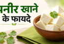 Paneer Khane Ke Fayde: रोज़ पनीर खाने से शरीर को मिलते हैं ये 10 जबरदस्त फायदे paneer khane ke fayde