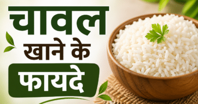 चावल खाने के फायदे, rice benefits in hindi, chawal ke fayde, सफेद चावल के फायदे, brown rice benefits, रोज चावल खाने के फायदे, चावल से क्या होता है, rice health benefits, healthy diet tips hindi, chawal nutrition