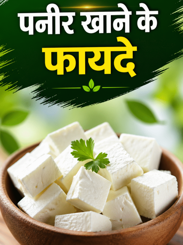 पनीर खाने के 12 जबरदस्त फायदे | रोज खाओ और फिट रहो