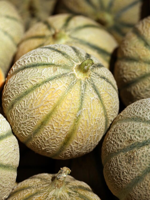 खरबूजा खाने के फायदे | गर्मियों का सुपरफूड जो रखे शरीर ठंडा और हेल्दी