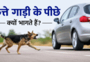 Latest facts in hindi about dogs barking on vehicle