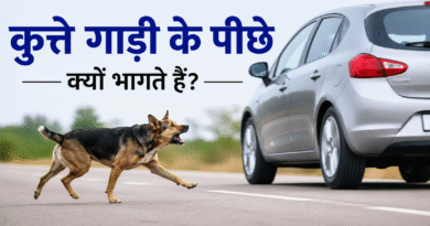 Latest facts in hindi about dogs barking on vehicle
