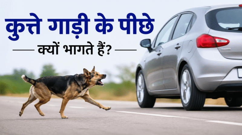 Latest facts in hindi about dogs barking on vehicle