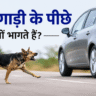Latest facts in hindi about dogs barking on vehicle