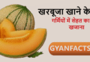 खरबूजा खाने के फायदे: गर्मियों में सेहत का मीठा खजाना खरबूजा खाने के फायदे, kharbuja benefits in hindi, muskmelon benefits, खरबूजा खाने के लाभ, summer fruits benefits, healthy fruits in summer, hydration foods, weight loss fruits, glowing skin fruits, immunity boosting fruits
