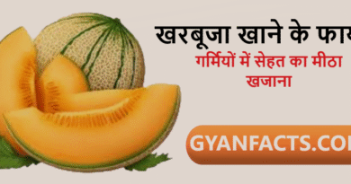 खरबूजा खाने के फायदे, kharbuja benefits in hindi, muskmelon benefits, खरबूजा खाने के लाभ, summer fruits benefits, healthy fruits in summer, hydration foods, weight loss fruits, glowing skin fruits, immunity boosting fruits