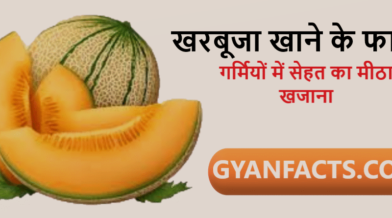 खरबूजा खाने के फायदे, kharbuja benefits in hindi, muskmelon benefits, खरबूजा खाने के लाभ, summer fruits benefits, healthy fruits in summer, hydration foods, weight loss fruits, glowing skin fruits, immunity boosting fruits