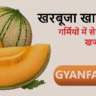खरबूजा खाने के फायदे, kharbuja benefits in hindi, muskmelon benefits, खरबूजा खाने के लाभ, summer fruits benefits, healthy fruits in summer, hydration foods, weight loss fruits, glowing skin fruits, immunity boosting fruits