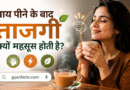 चाय पीने के बाद ताजगी क्यों महसूस होती है