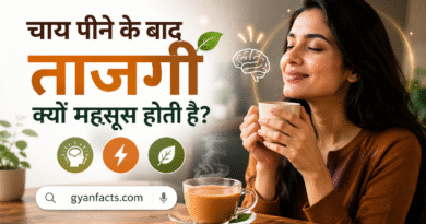 चाय पीने के बाद ताजगी क्यों महसूस होती है
