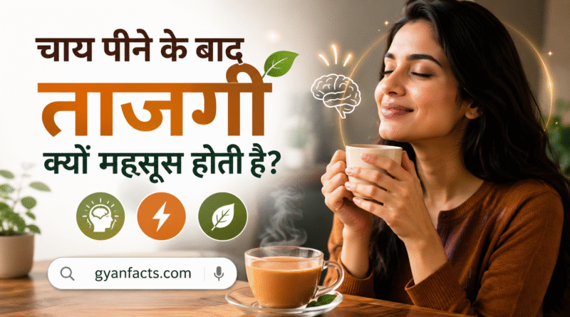 चाय पीने के बाद ताजगी क्यों महसूस होती है