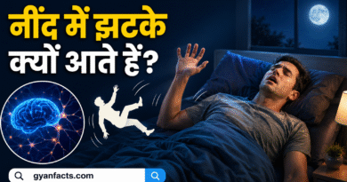 नींद में झटके (Sleep Jerks) क्यों आते हैं? जानिए इसके पीछे का वैज्ञानिक कारण