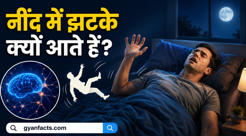 नींद में झटके (Sleep Jerks) क्यों आते हैं? जानिए इसके पीछे का वैज्ञानिक कारण