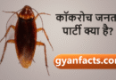 कॉकरोच जनता पार्टी क्या है? सोशल मीडिया पर तेजी से वायरल हो रहा नया ट्रेंड कॉकरोच जनता पार्टी क्या है? सोशल मीडिया पर वायरल ट्रेंड की पूरी कहानी