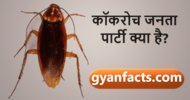 कॉकरोच जनता पार्टी क्या है? सोशल मीडिया पर वायरल ट्रेंड की पूरी कहानी