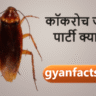 कॉकरोच जनता पार्टी क्या है? सोशल मीडिया पर वायरल ट्रेंड की पूरी कहानी