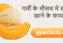गर्मी के मौसम में खरबूजा खाने के फायदे: शरीर को ठंडक और सेहत को कई लाभ गर्मी के मौसम में खरबूजा खाने के फायदे: शरीर को ठंडक और सेहत को कई लाभ