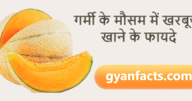 गर्मी के मौसम में खरबूजा खाने के फायदे: शरीर को ठंडक और सेहत को कई लाभ
