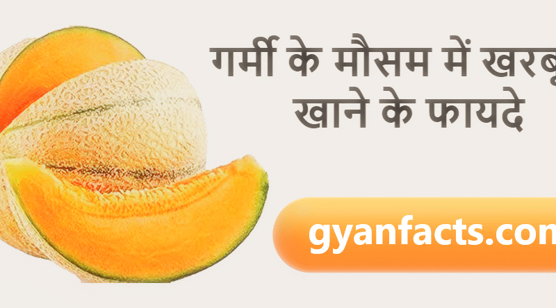 गर्मी के मौसम में खरबूजा खाने के फायदे: शरीर को ठंडक और सेहत को कई लाभ