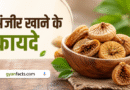 रोज अंजीर खाने के 10 जबरदस्त फायदे – शरीर को मिलेंगे हैरान करने वाले लाभ रोज अंजीर खाने के 10 जबरदस्त फायदे – शरीर को मिलेंगे हैरान करने वाले लाभ