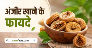 रोज अंजीर खाने के 10 जबरदस्त फायदे – शरीर को मिलेंगे हैरान करने वाले लाभ