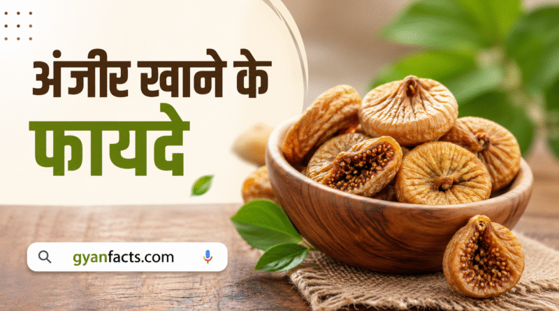 रोज अंजीर खाने के 10 जबरदस्त फायदे – शरीर को मिलेंगे हैरान करने वाले लाभ