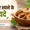 रोज अंजीर खाने के 10 जबरदस्त फायदे – शरीर को मिलेंगे हैरान करने वाले लाभ