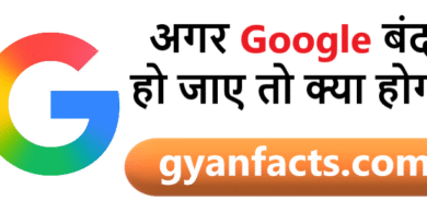 अगर Google एक दिन के लिए बंद हो जाए तो क्या होगा? जानिए इंटरनेट की दुनिया में कितना बड़ा हंगामा मच सकता है!