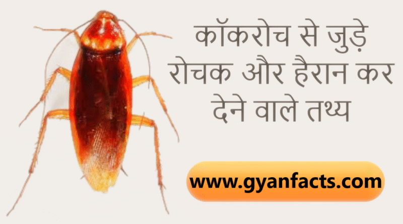कॉकरोच जनता पार्टी: कॉकरोच से जुड़े रोचक और हैरान कर देने वाले तथ्य