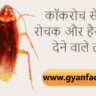 कॉकरोच जनता पार्टी: कॉकरोच से जुड़े रोचक और हैरान कर देने वाले तथ्य