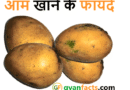 आम खाने के फायदे: जानिए रोज आम खाने से शरीर को मिलने वाले 10 बड़े लाभ आम खाने के फायदे: जानिए रोज आम खाने से शरीर को मिलने वाले 10 बड़े लाभ