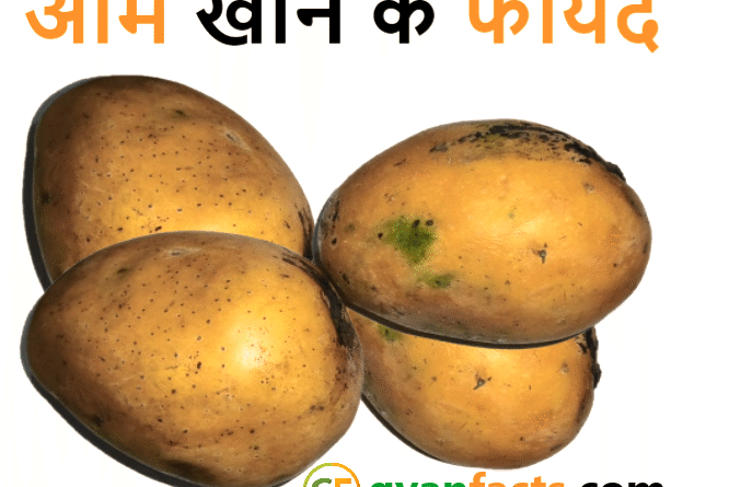 आम खाने के फायदे: जानिए रोज आम खाने से शरीर को मिलने वाले 10 बड़े लाभ