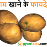 आम खाने के फायदे: जानिए रोज आम खाने से शरीर को मिलने वाले 10 बड़े लाभ