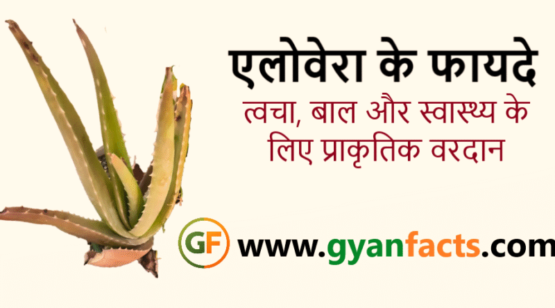 एलोवेरा के फायदे, Aloe Vera Benefits in Hindi, एलोवेरा जेल, एलोवेरा जूस के फायदे, त्वचा के लिए एलोवेरा, बालों के लिए एलोवेरा, एलोवेरा उपयोग, प्राकृतिक उपचार, हेल्थ टिप्स, आयुर्वेदिक उपाय