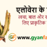 एलोवेरा के फायदे, Aloe Vera Benefits in Hindi, एलोवेरा जेल, एलोवेरा जूस के फायदे, त्वचा के लिए एलोवेरा, बालों के लिए एलोवेरा, एलोवेरा उपयोग, प्राकृतिक उपचार, हेल्थ टिप्स, आयुर्वेदिक उपाय