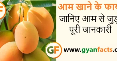 आम खाने के फायदे और नुकसान: जानिए आम से जुड़ी पूरी जानकारी