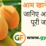 आम खाने के फायदे और नुकसान: जानिए आम से जुड़ी पूरी जानकारी