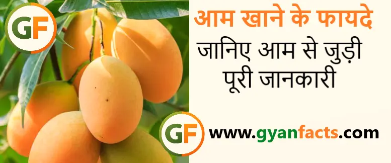 आम खाने के फायदे और नुकसान: जानिए आम से जुड़ी पूरी जानकारी