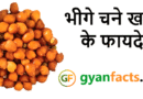 भीगे चने खाने के 8 जबरदस्त फायदे | रोज सुबह खाएंगे तो शरीर में दिखेंगे चौंकाने वाले बदलाव भीगे चने खाने के फायदे